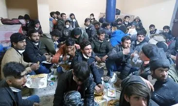 Şanlıurfa’da 85 düzensiz göçmen yakalandı
