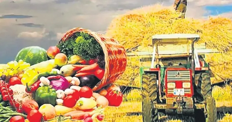 Tarımsal hasıla 83 milyar dolar