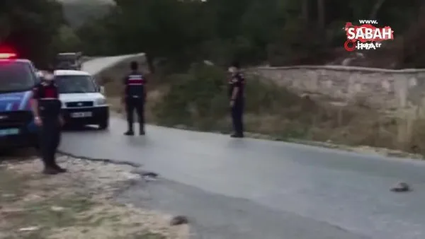 Uşak'ta Jandarma ekipleri karşıdan karşıya geçen kaplumbağa ailesi için trafiği durdurdu | Video
