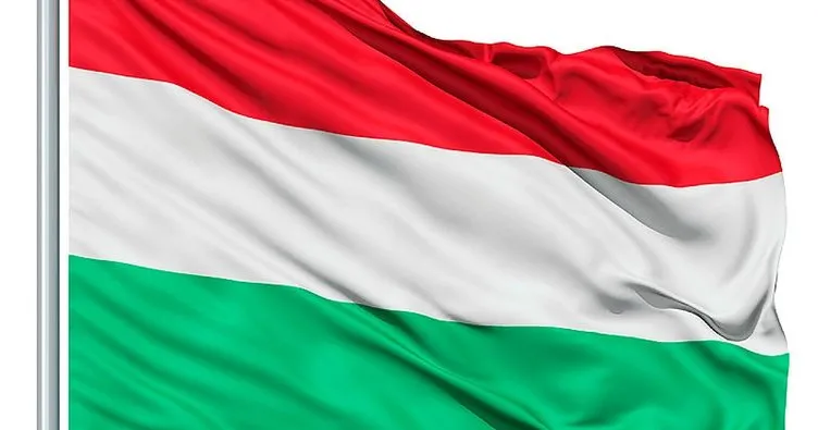 Macar yetkili: ’’Operasyon terör örgütünü hedef alıyor’’