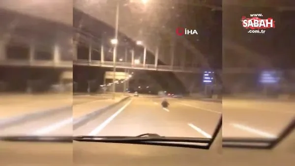 İstanbul - Çanakkale karayolunda yol ortasına akılalmaz olay! Ölüme davetiye çıkardı | Video