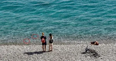 Tatilcilere denizanası uyarısı: Yanma, kızarma, su toplaması ve kaşıntı varsa…