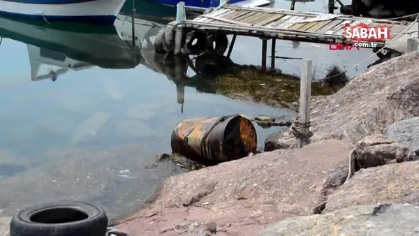 Zonguldak Alaplı'da balıkçılar sahile vurmuş şüpheli varil bulundu!