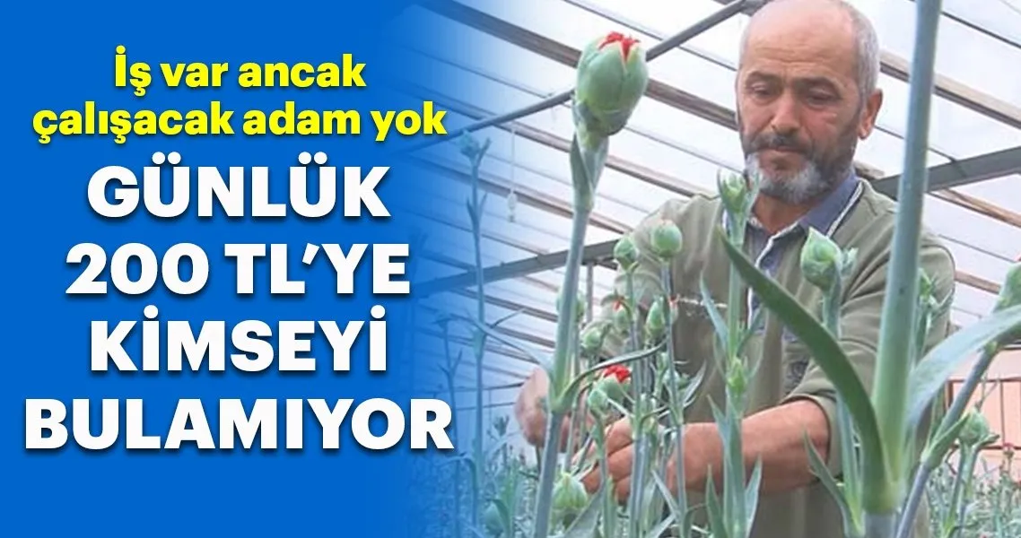 temiz savurgan bir siddet gunluk yevmiyeli isler dudullu bilsanatolye com