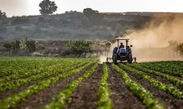 Tarlada bir kilo bile ürün kalmayacak