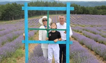 Kırklareli’nde lavanta hasadı