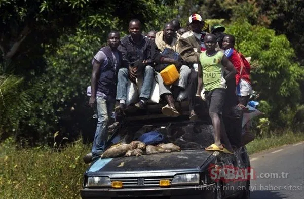 Bu fotoğrafları sadece Afrika’da görebilirsiniz