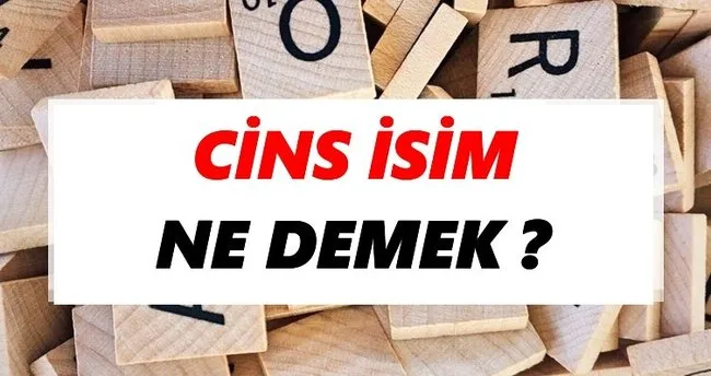 Cins isim Ne Demek? TDK’ya Göre Cins isim Sözlük Anlamı Nedir?