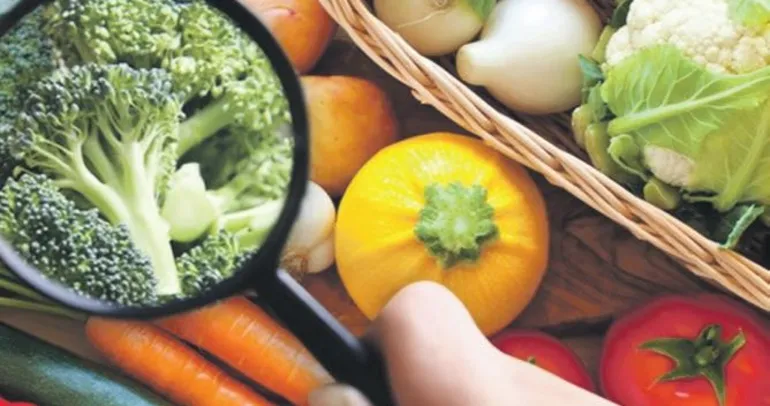 2026 reform yılı olacak