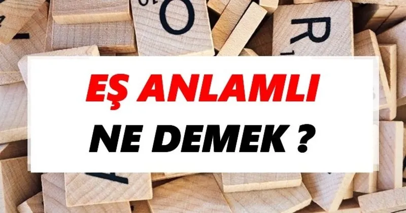 es anlamli ne demek tdk ya gore es anlamli sozluk anlami nedir tdk anlami haberleri