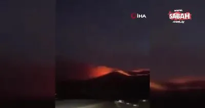 Meksika, 84 orman yangını ile mücadele ediyor | Video