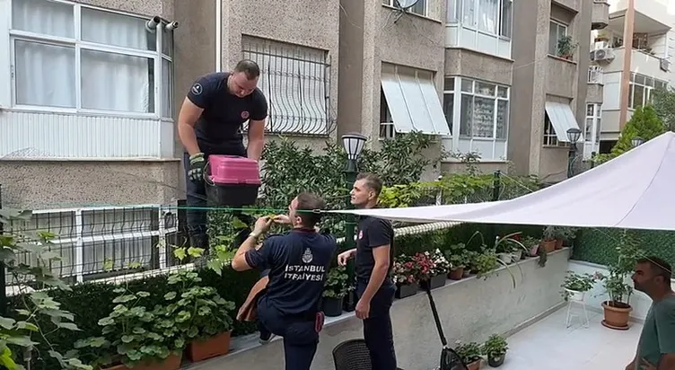 Acı çığlıkları sokağı inletti: Yardımına itfaiye koştu!