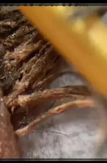 Buna bakmak bile gözlerinizi kaşındırabilir! Şimdiye kadar görebileceğiniz en korkunç kirpik işlemi: Uzmanlar bile şokta