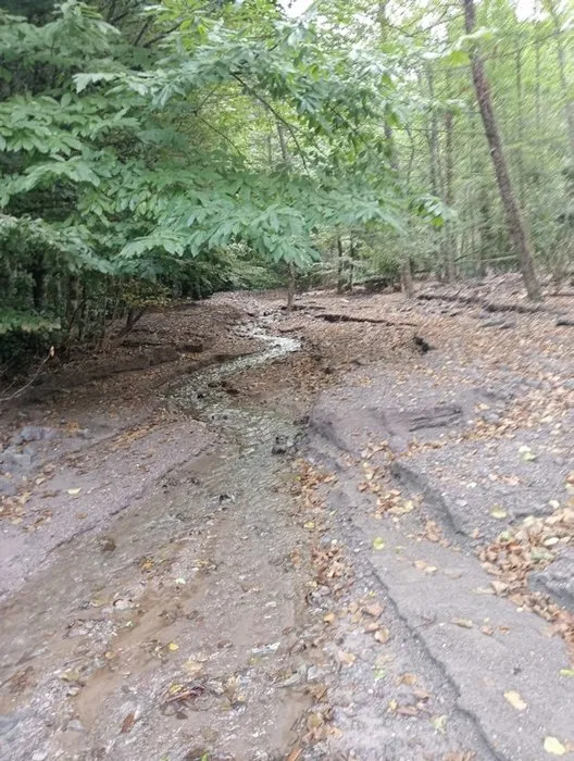 Haftada 13 gram altın buluyorlar! Haberi duyan oraya koşuyor!