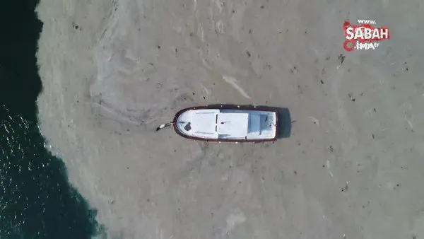İstanbul’da deniz salyası istilasının ulaştığı boyut kamerada! Suadiye sahilinde şaşırtan görüntüler...