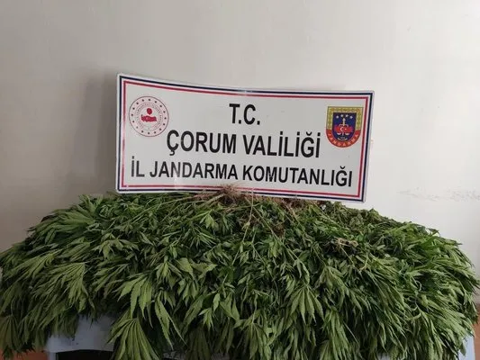 Çorum’da uyuşturucu operasyonu