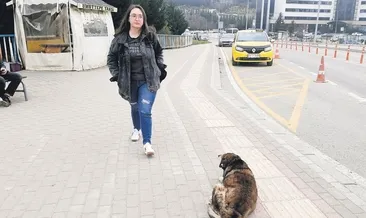 Kampüste köpek dehşeti