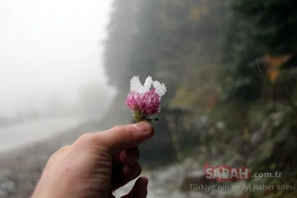 Rize, Ordu ve Giresun'un yaylaları beyaza büründü! İşte büyüleyen kareler...