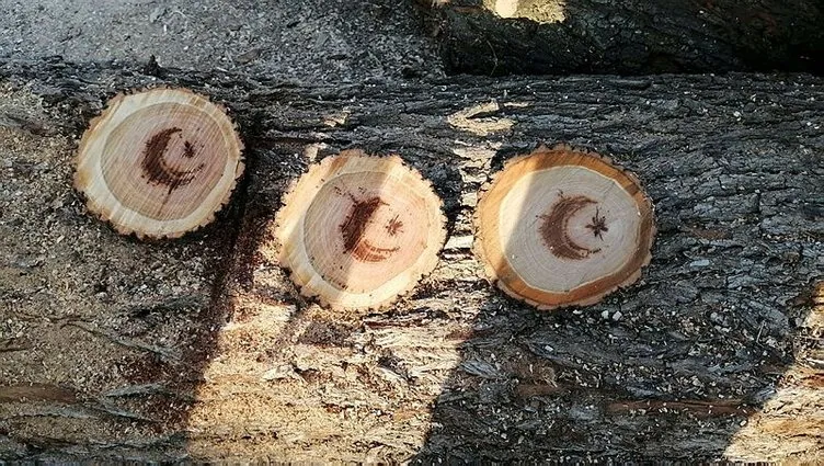 Yozgat'ta akıllara durgunluk veren olay: Kesilen ağacın içinden ay yıldız figürü çıktı