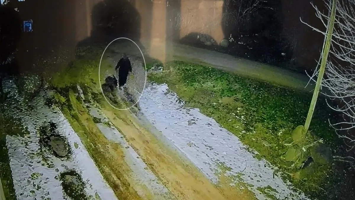 Diyarbakır’da her yerde aranıyor: Nimet Kılıç’ın son görüntüsü ortaya çıktı! Diyarbakır’da her yerde aranıyor: Nimet Kılıç’ın son görüntüsü ortaya çıktı!