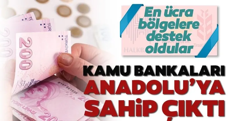 Kamu bankaları Anadolu’ya sahip çıktı
