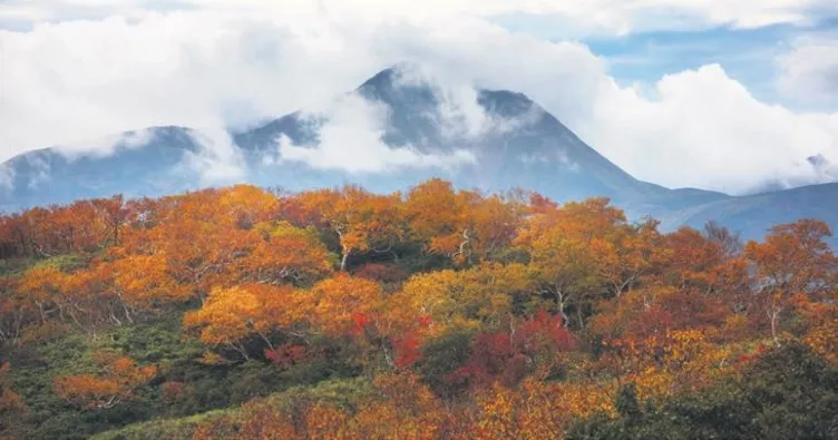 Rusya, Japonya ile görüşmeleri bitirdi