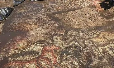 Adıyaman’da 1600 yıllık mozaik bulundu