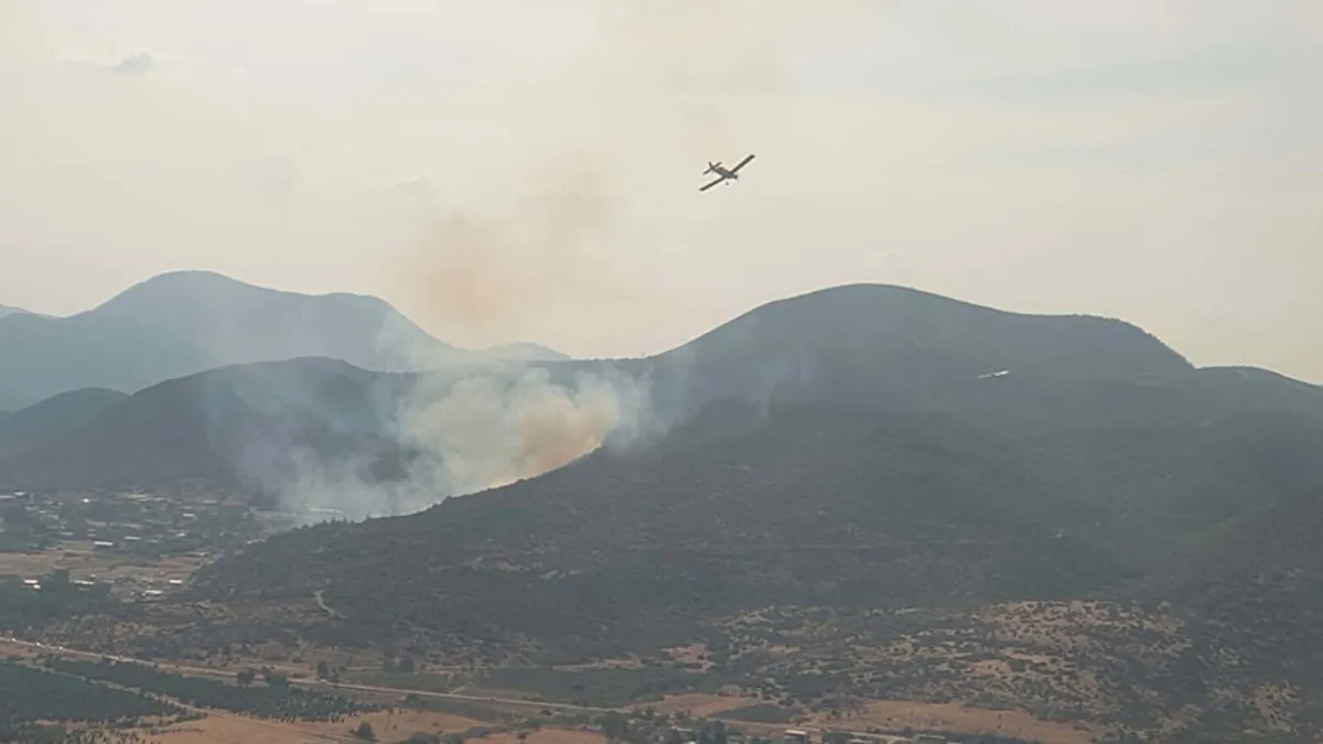 İzmir'de orman yangını! Alevlere havadan ve karadan müdahale ediliyor