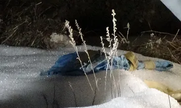 Mezarlıkta poşete sarılı cenin bulundu!