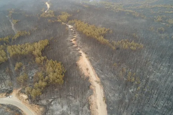 Muğla’da ormanlar alev alev yandı, tahribat gün aydınlanınca ortaya çıktı