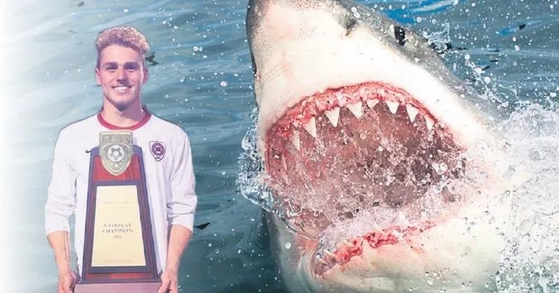 denize dusen futbolcuyu kopekbaligi yedi son dakika haberler