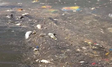 Körfez’deki kirliliğin sebebi CHP yönetimi #izmir