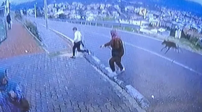 bursada-kopek-dehseti-kacmak-isteyen-cocuk-bacagini-kirdi-1791990904603.jpeg