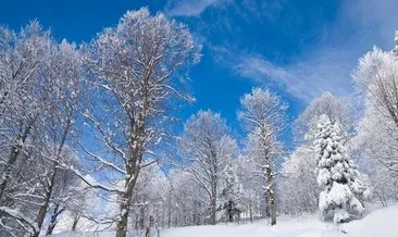 Türkiye’de kış tatili için 7 öneri