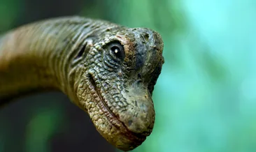 Dinozor yumurtaları zaman makinesi gibi çalışıyor! Yaşlarını artık biliyoruz