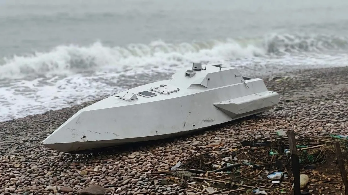 Ordu'da mühimmat dolu İDA bulundu