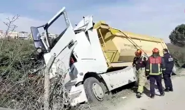 Hafriyat kamyonu ağaca çarpıp durabildi