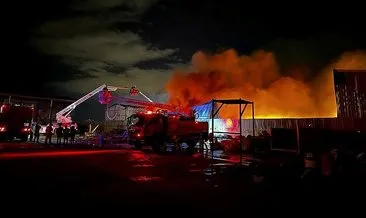 Eskişehir’de geri dönüşüm tesisinde yangın