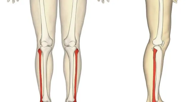 bacagin dizden ayak bilegine kadar olan bolumune ne denir 12 eylul carsamba ipucu sorusu cevabi son dakika haberler