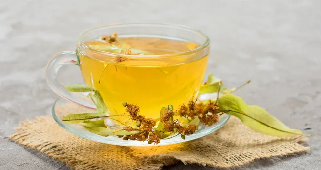 Ihlamur Nasıl Demlenir? Püf Noktalarıyla Taze Ihlamur Çayı Nasıl Kaynatılır ve Faydaları Nelerdir? -