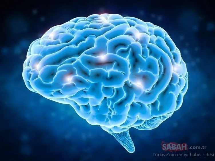 Beyin için en önemli gıda olduğu kanıtlandı!