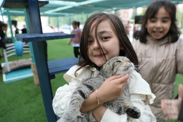 minik-dostlarin-yeni-adresi-kedi-kasabasi-1793004854672.jpg