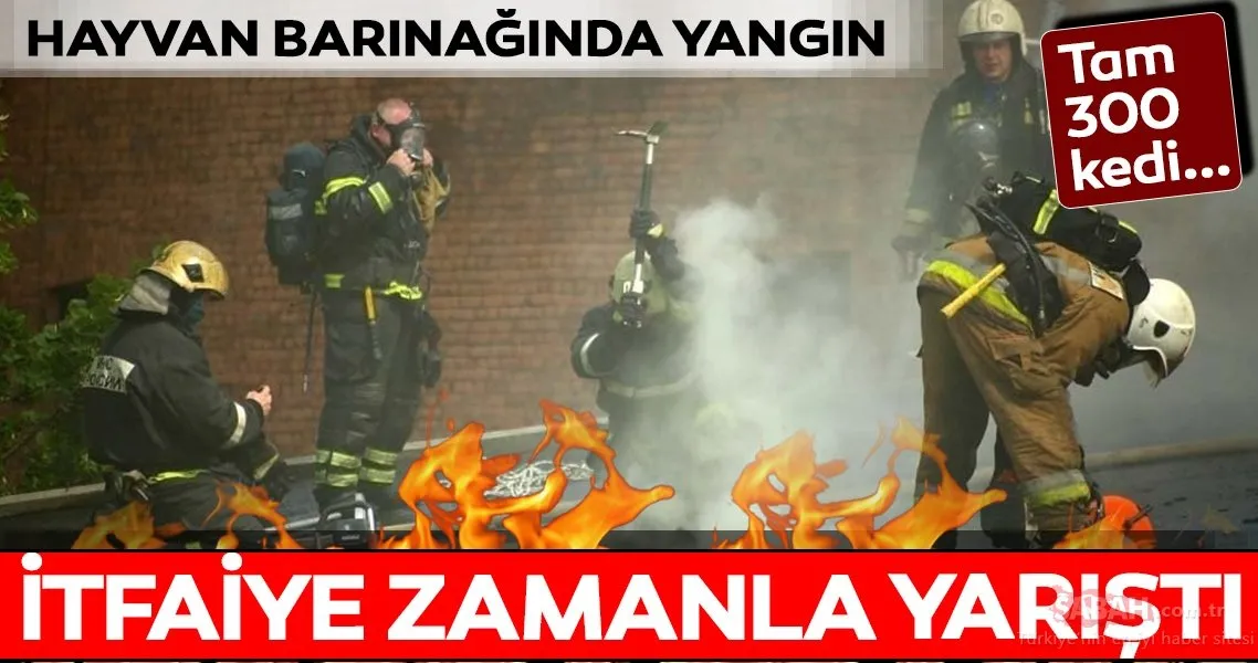 Rusya’da bir hayvan barınağında yangın çıktı. ‘Terkedilmiş Melekler