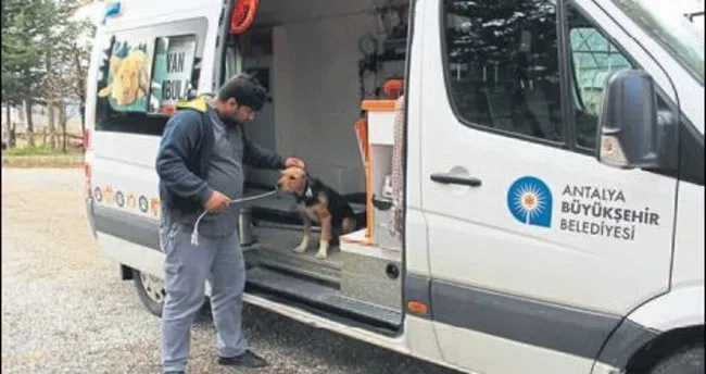 Ölüme terk edilen köpekler kurtarıldı