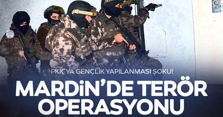 Mardin’de terör operasyonu: 11 gözaltı