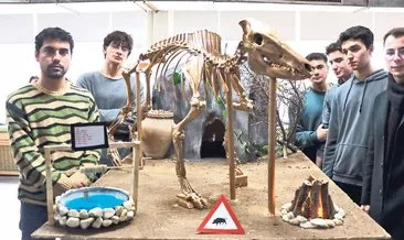 Hayvan kemiklerini iskelete dönüştürdüler