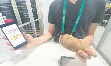 Akılllı patatesten yapay zeka fışkırdı!