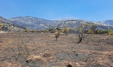 Yunanistan’da son 20 yılın en büyük orman yangını: 720 bin dönümün üzerinde alan yandı