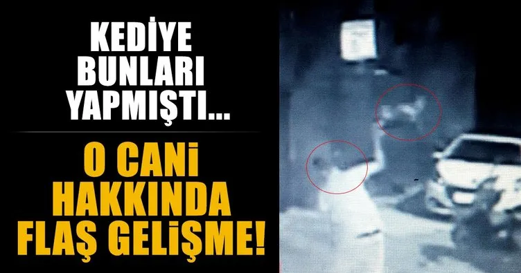 Beyoğlu’nda kediye işkence yaparak öldüren zanlı Taksim’de yakalandı