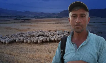 Kırıkkale’de 350 küçükbaş hayvanı çalınmıştı! Çobanın hırsızlarla kurduğu hain planı jandarma deşifre etti
